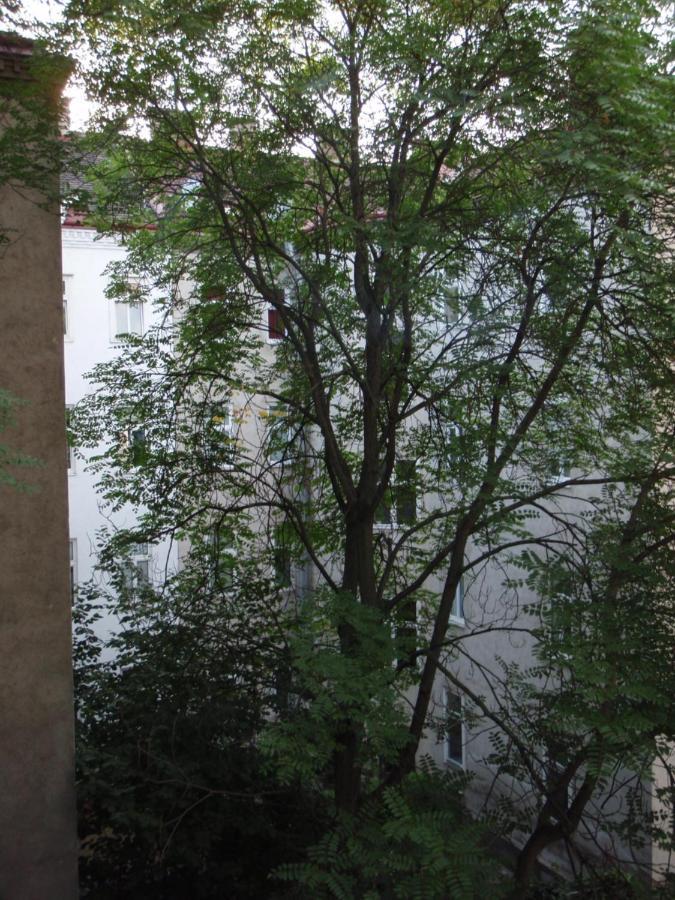 Augartenblick Penthaus 17 - Blick Zum Riesenrad Appartamento